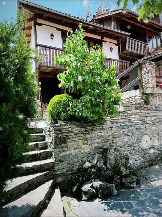 Sharkov Guest House Dolen  Luaran gambar