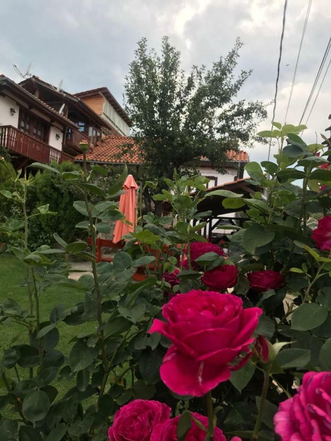 Sharkov Guest House Dolen  Luaran gambar